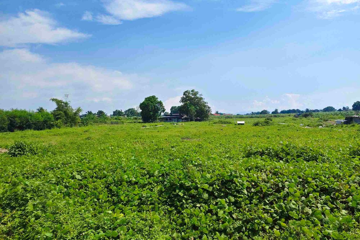 Land for Sale in Quilitisan, Calatagan, Batangas – photo 6