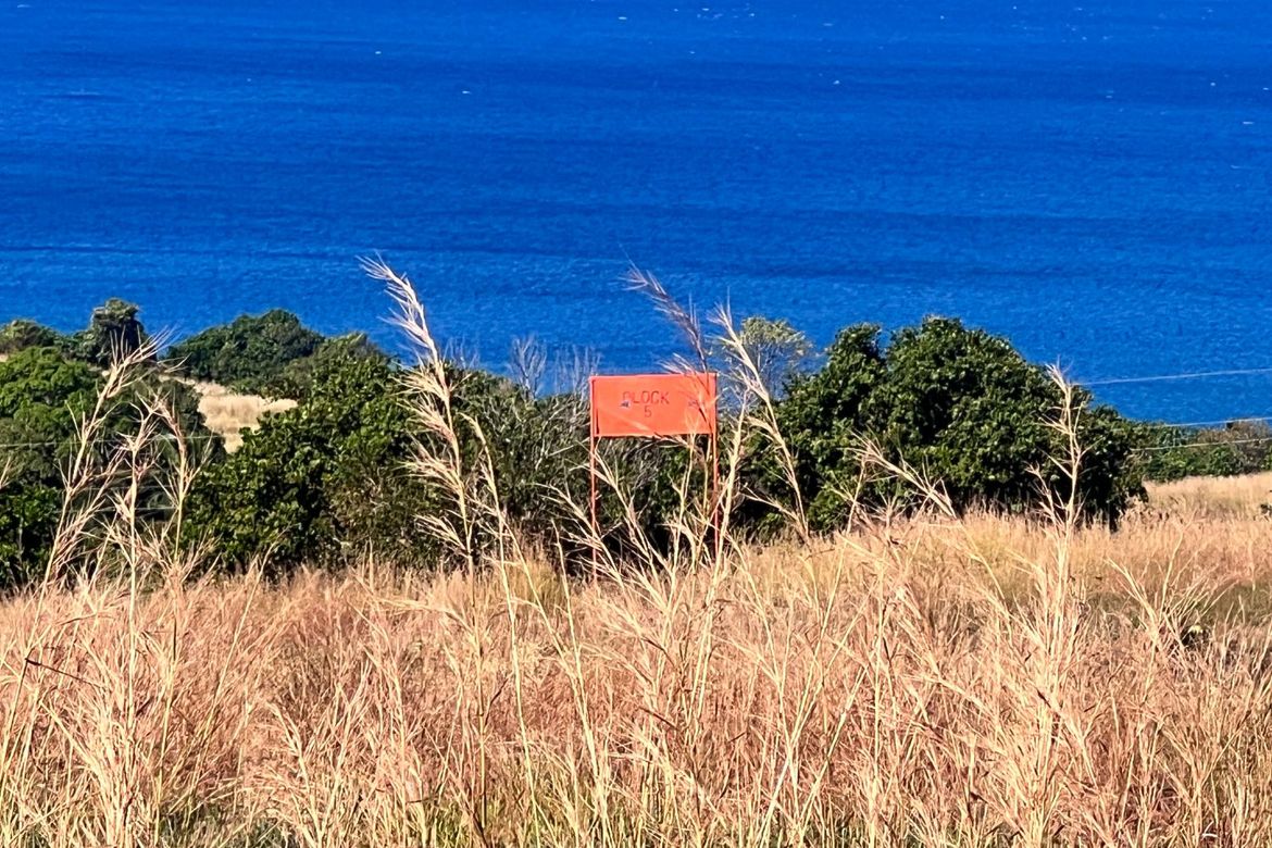 Land for Sale in Quinawan, Bagac, Bataan – photo 3