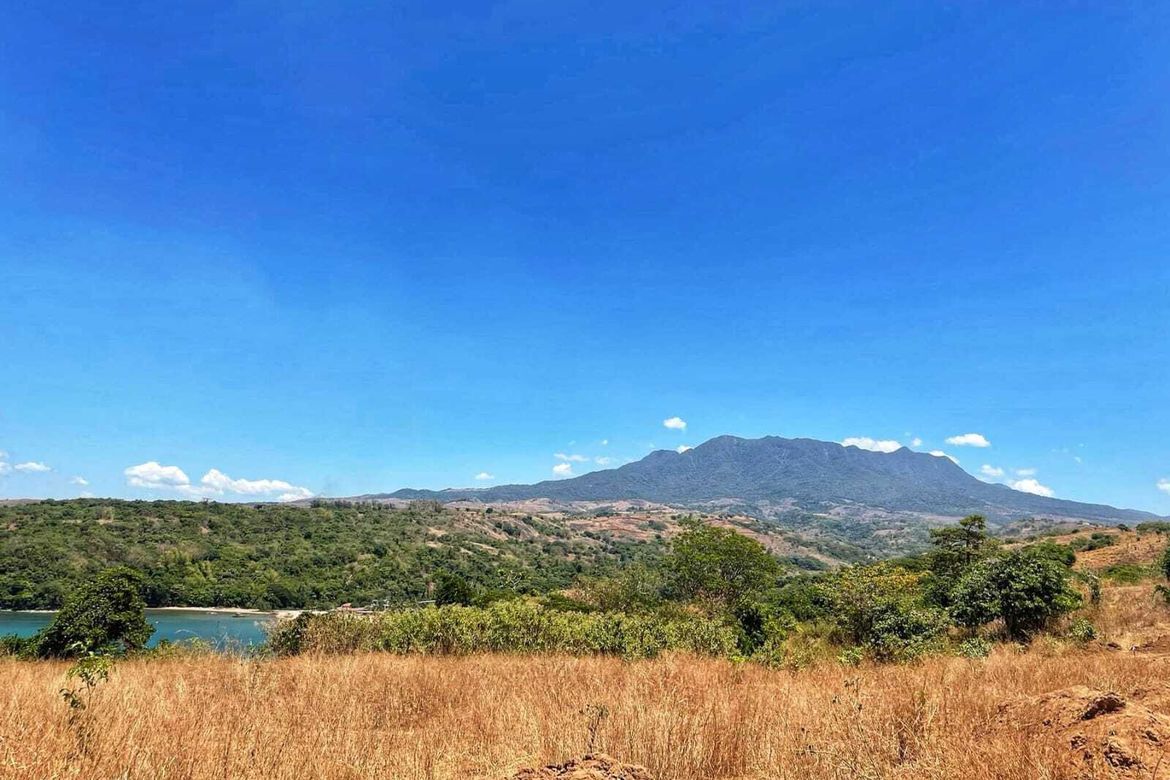 Land for Sale in Quinawan, Bagac, Bataan – photo 3