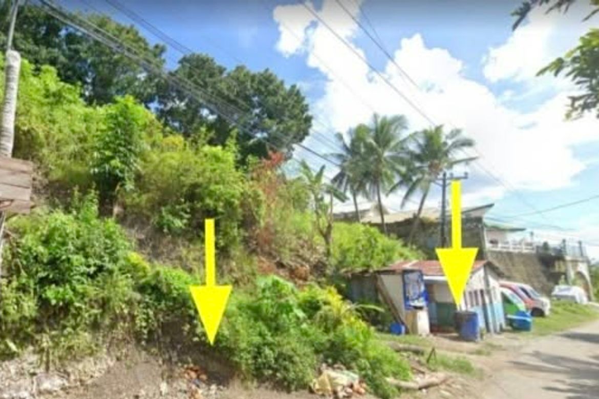 Land for Sale in Quiot Pardo, Cebu City, Cebu – photo 3