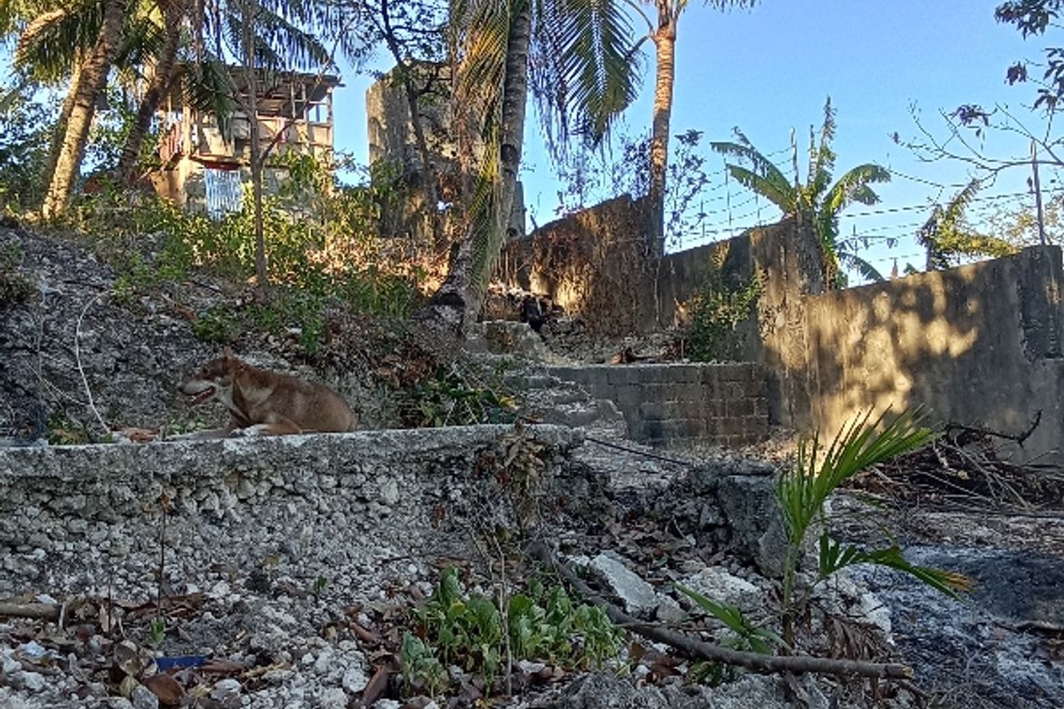 Land for Sale in Quiot Pardo, Cebu City, Cebu