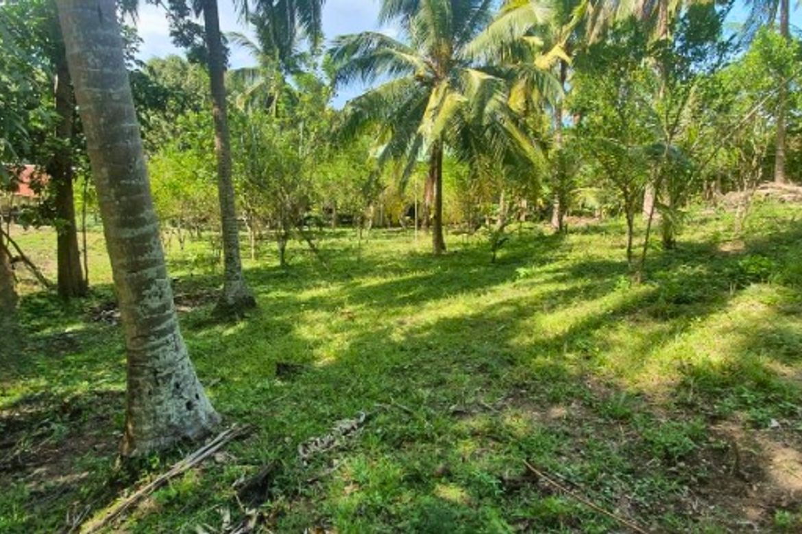 Land for Sale in Quipot, San Juan, Batangas
