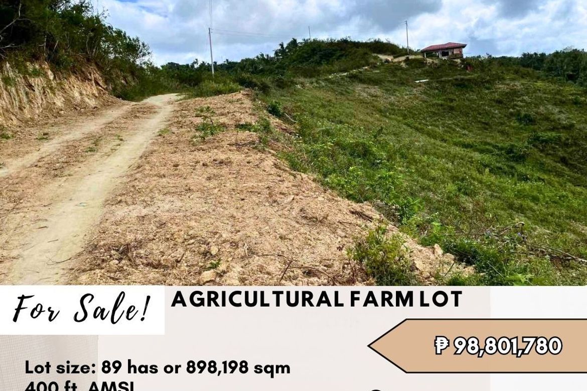 Land for Sale in Quipot, San Juan, Batangas