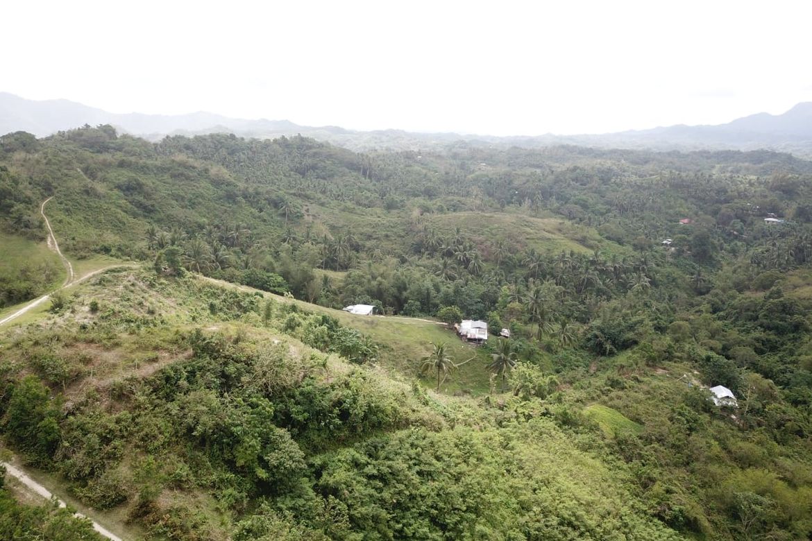 Land for Sale in Quipot, San Juan, Batangas – photo 3