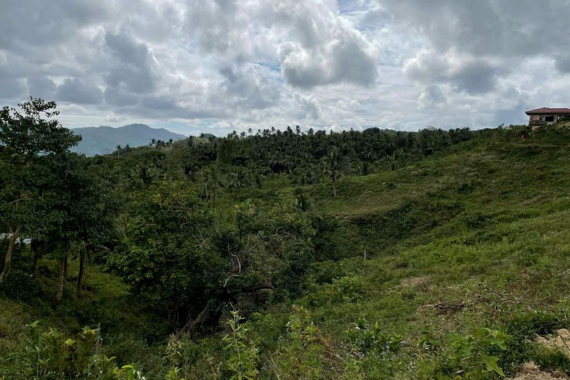 Land for Sale in Quipot, San Juan, Batangas – photo 7