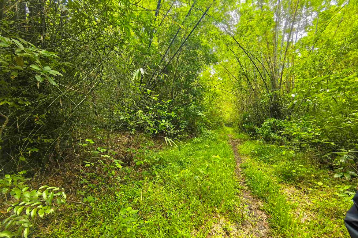 Land for Sale in Quisao, Pililla, Rizal