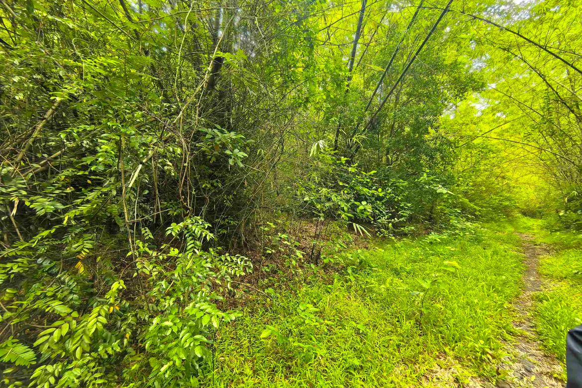 Land for Sale in Quisao, Pililla, Rizal – photo 3