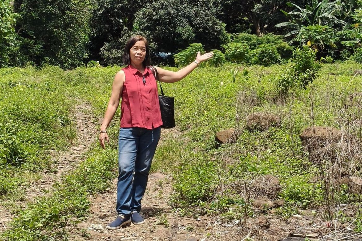 Land for Sale in Quisao, Pililla, Rizal – photo 6