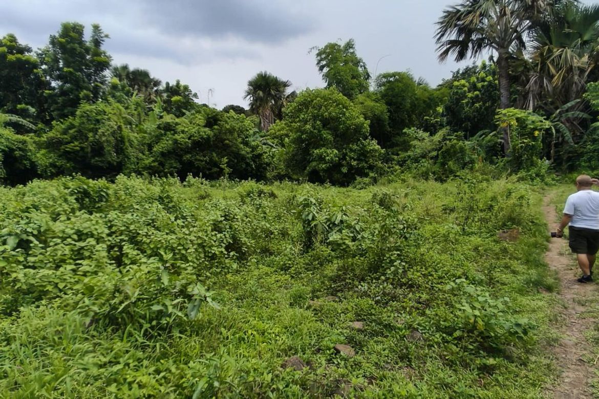 Land for Sale in Quisao, Pililla, Rizal – photo 7