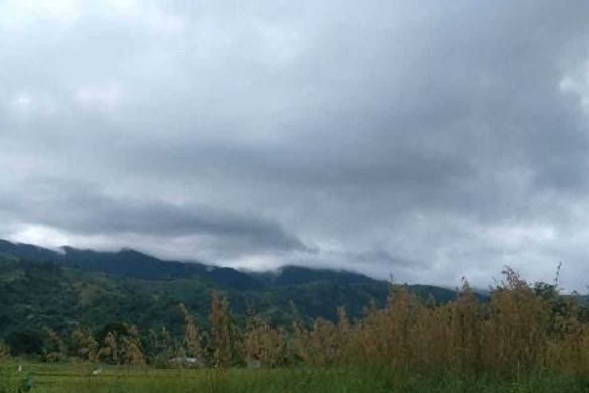 Land for Sale in R.A.Padilla, Carranglan, Nueva Ecija – photo 2