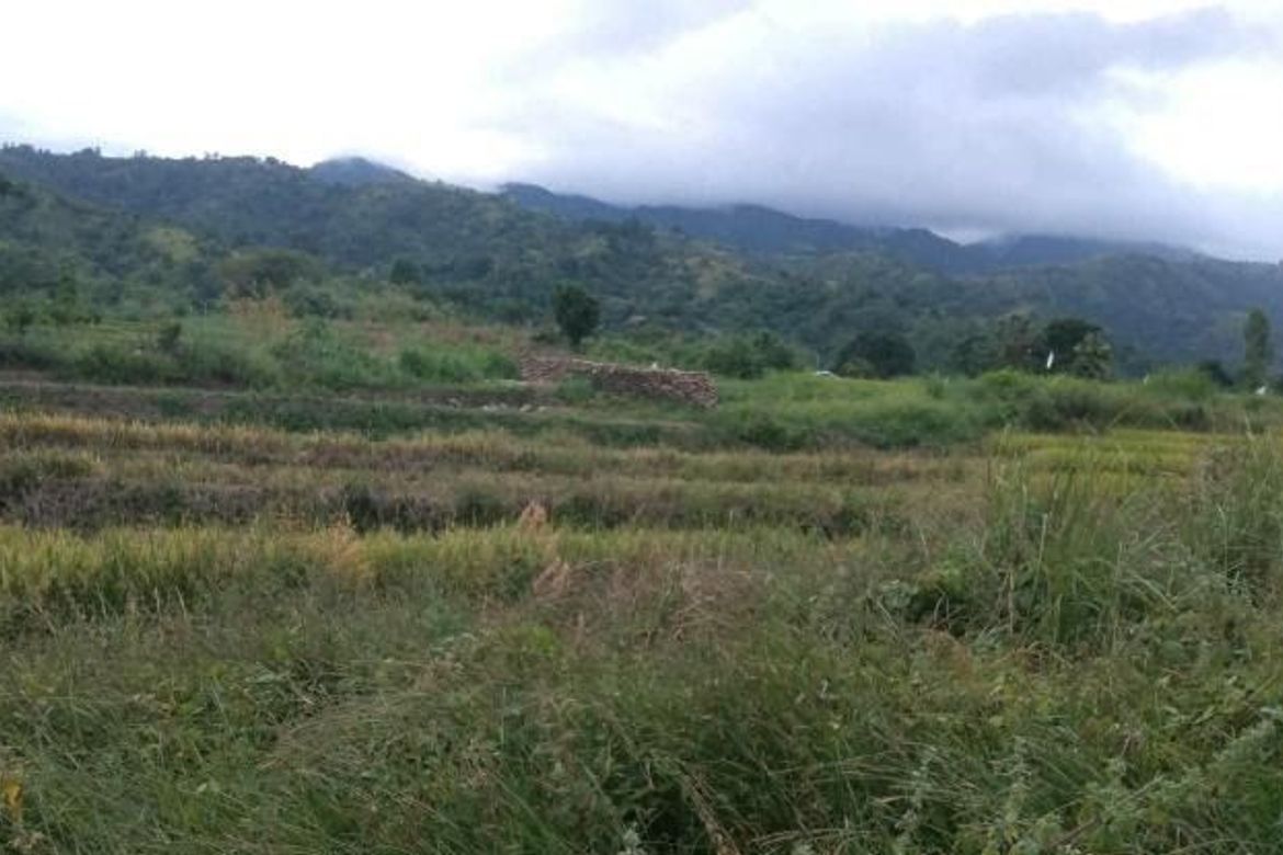 Land for Sale in R.A.Padilla, Carranglan, Nueva Ecija – photo 3