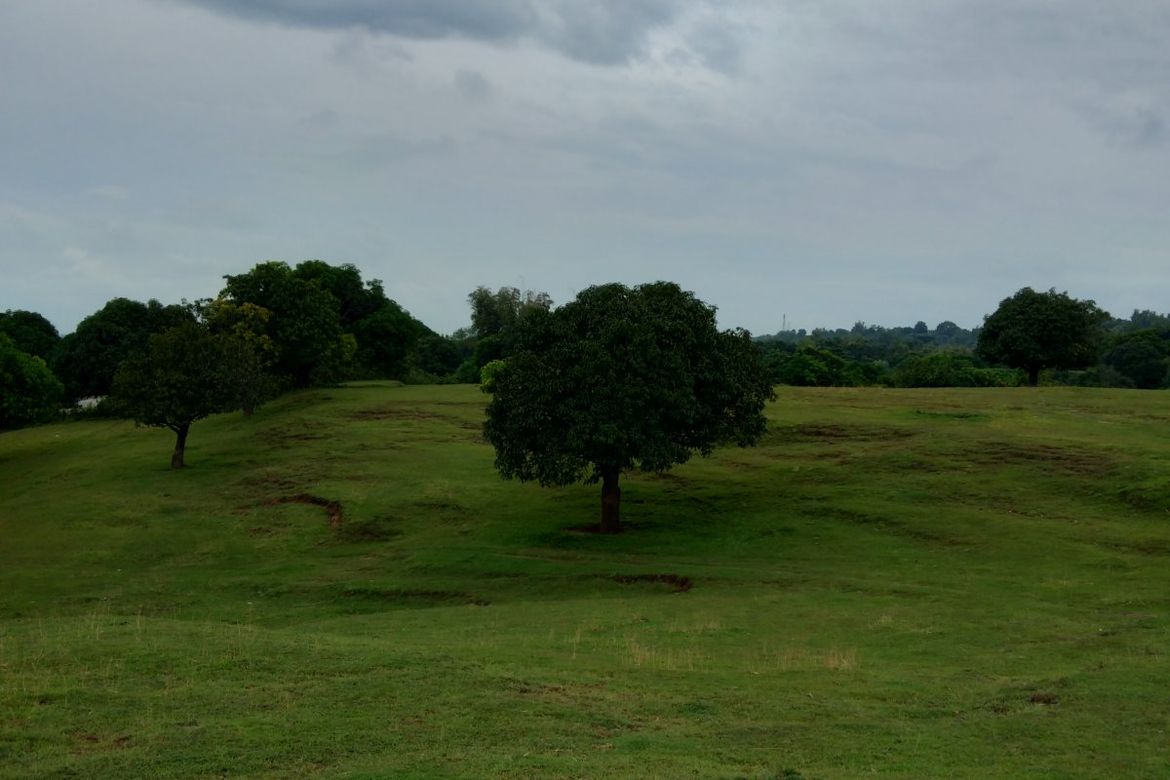 Land for Sale in Rabon, Rosario, La Union – photo 3