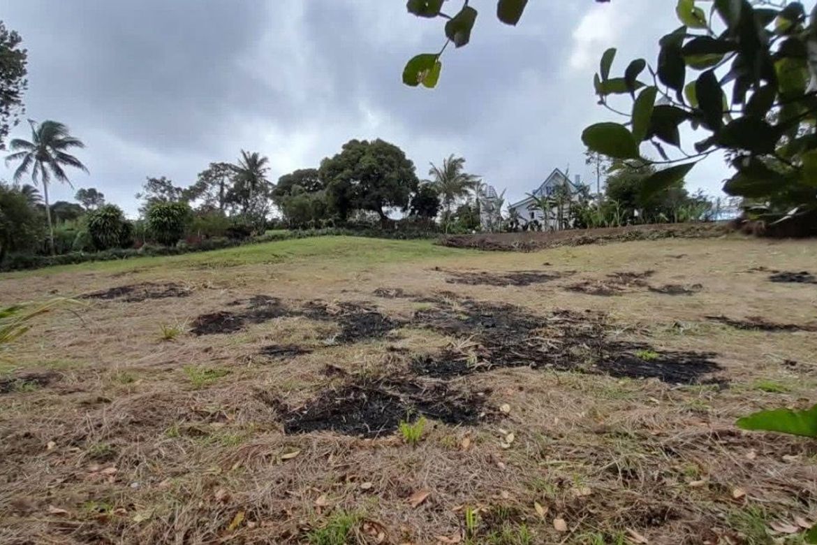 Land for Sale in Real, Calamba, Laguna – photo 4