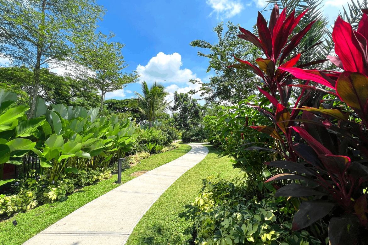 Land for Sale in Real, Calamba, Laguna – photo 6