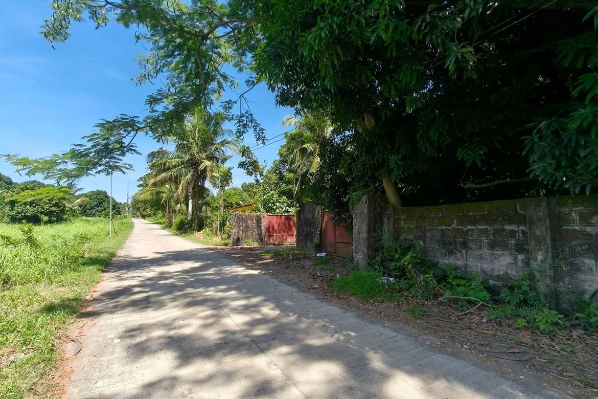 Land for Sale in Resplandor, San Pascual, Batangas