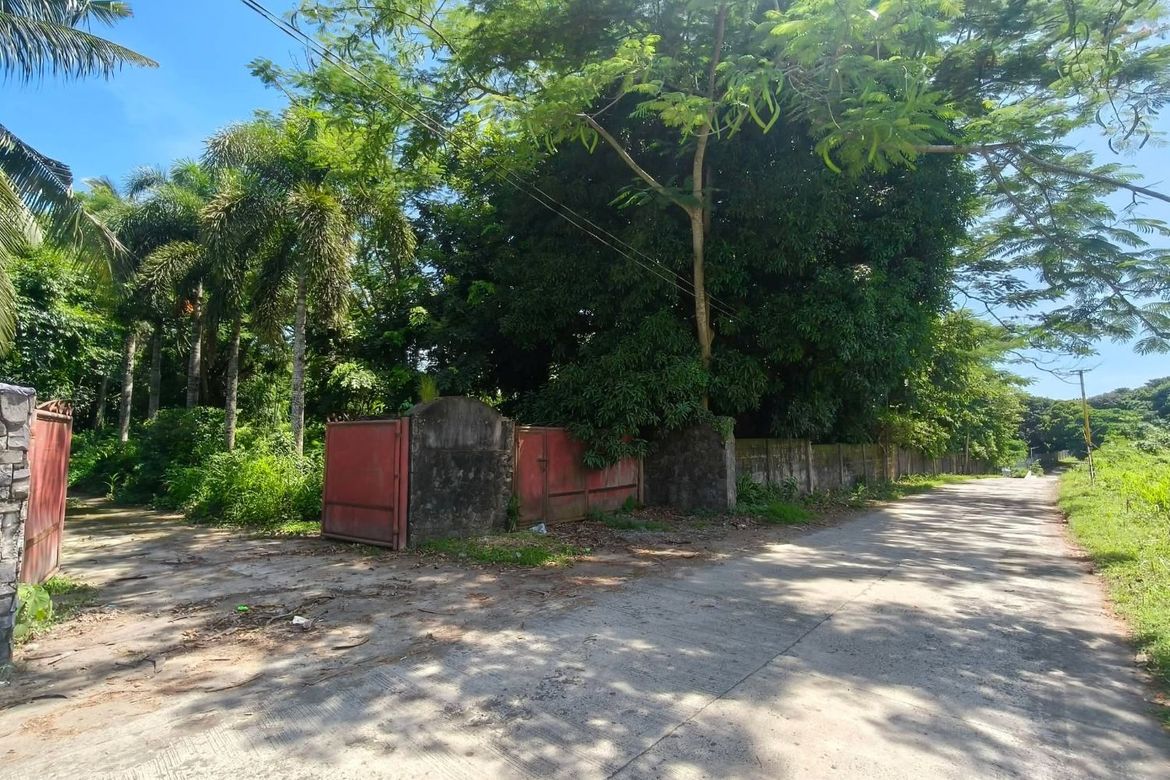 Land for Sale in Resplandor, San Pascual, Batangas – photo 2