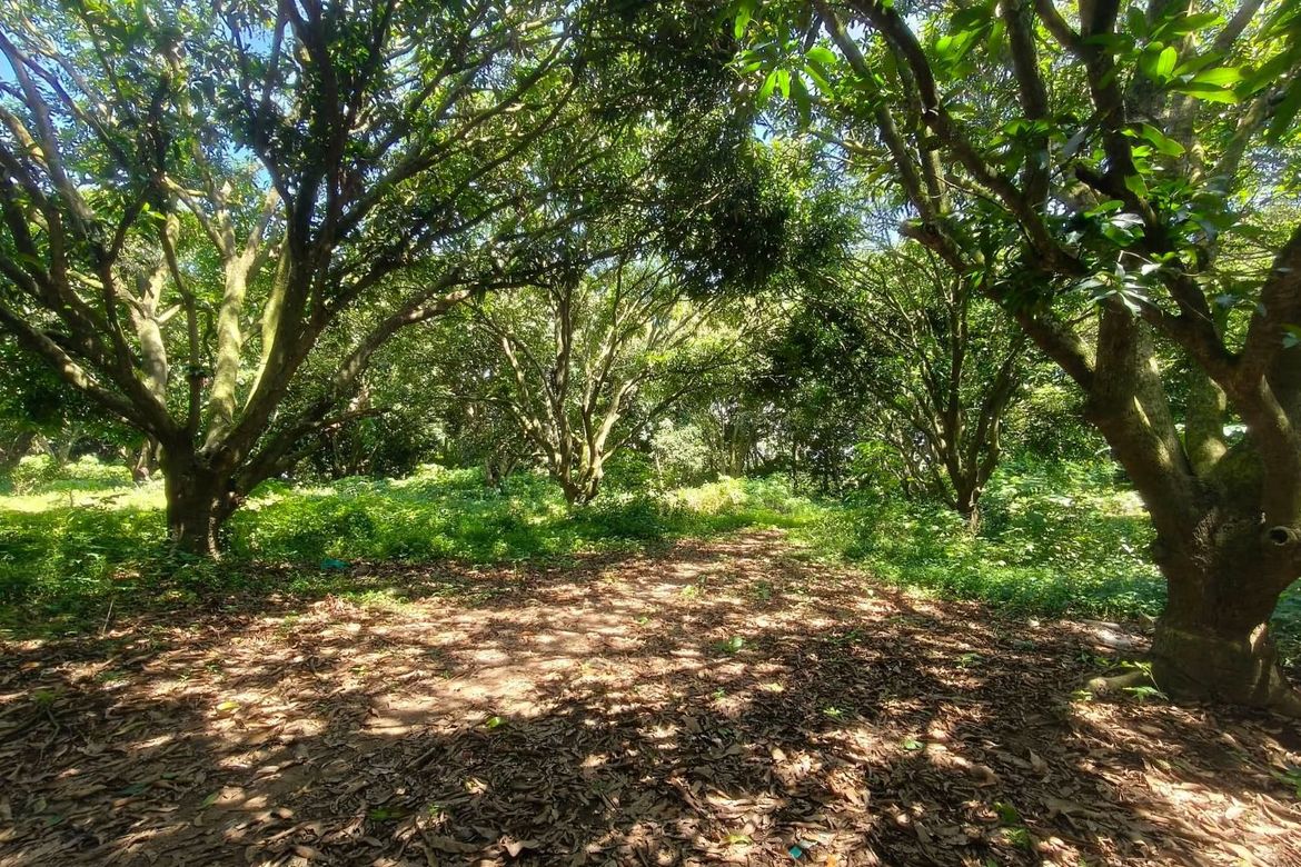 Land for Sale in Resplandor, San Pascual, Batangas – photo 4