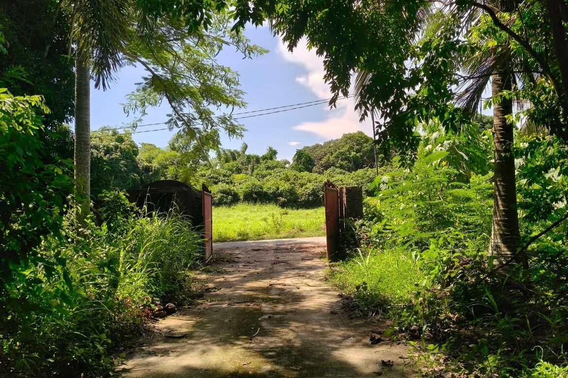 Land for Sale in Resplandor, San Pascual, Batangas – photo 6