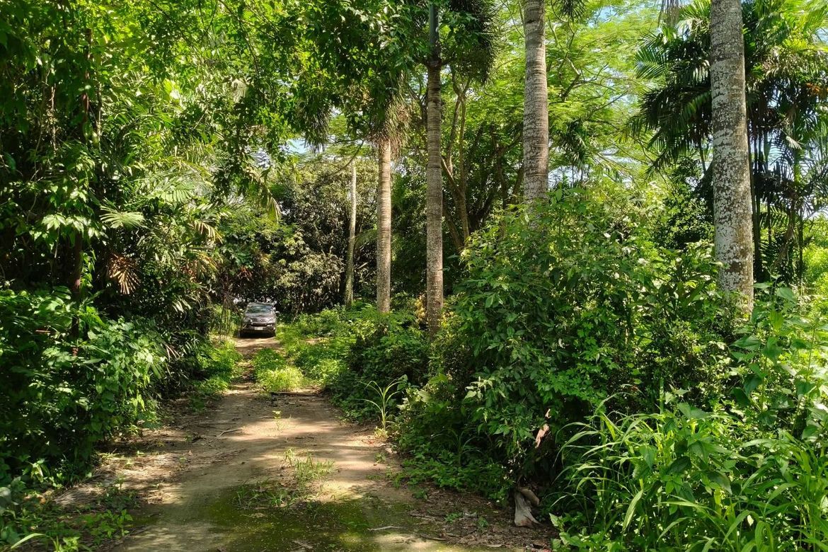 Land for Sale in Resplandor, San Pascual, Batangas – photo 7