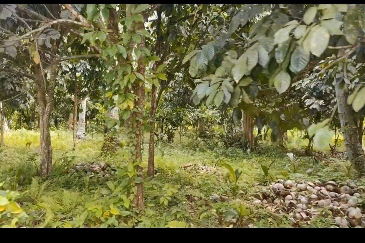 Land for Sale in Riverside, Davao City, Davao del Sur – photo 2