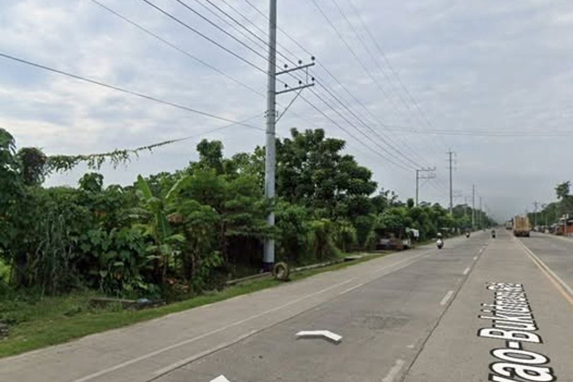 Land for Sale in Riverside, Davao City, Davao del Sur – photo 3