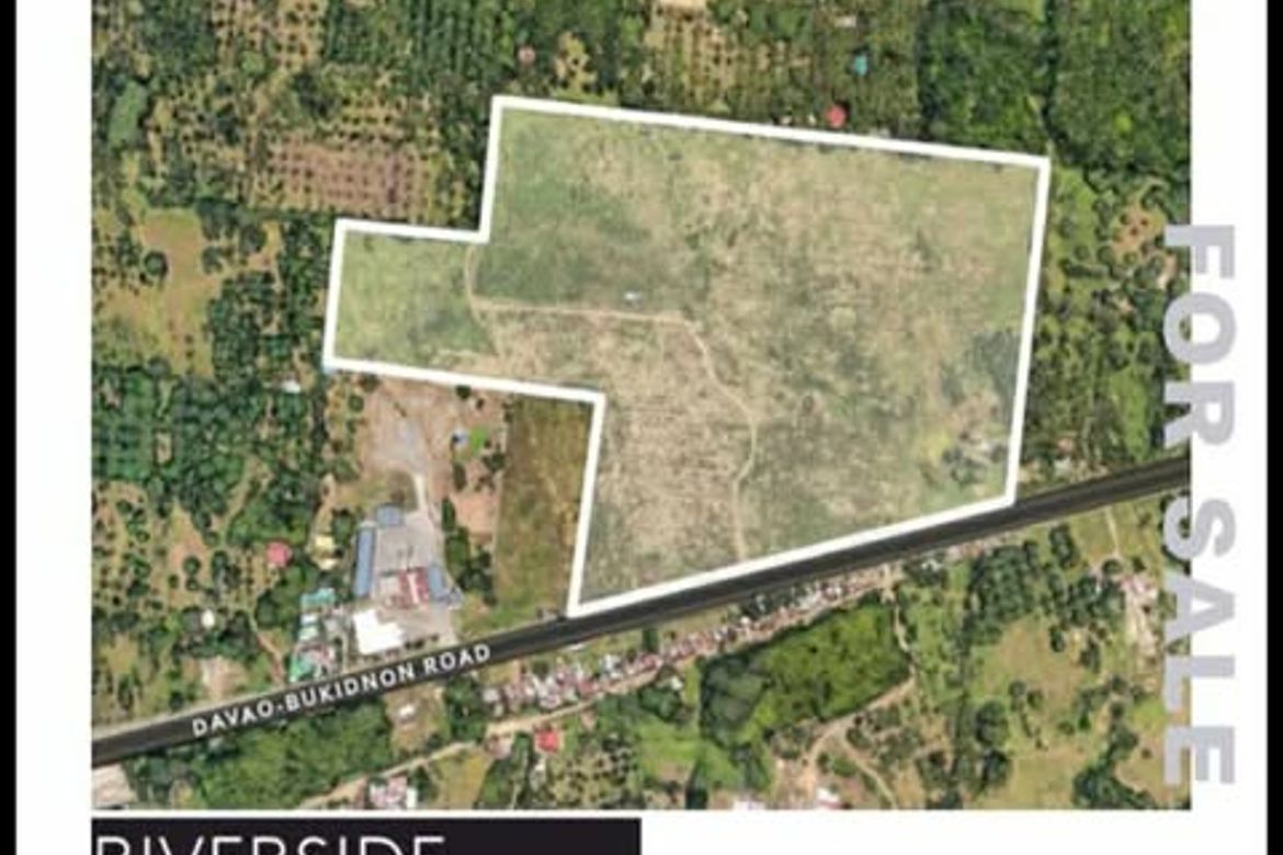Land for Sale in Riverside, Davao City, Davao del Sur – photo 5