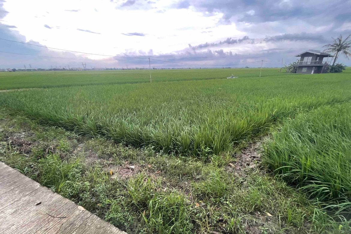 Land for Sale in Rizal District, San Leonardo, Nueva Ecija – photo 2