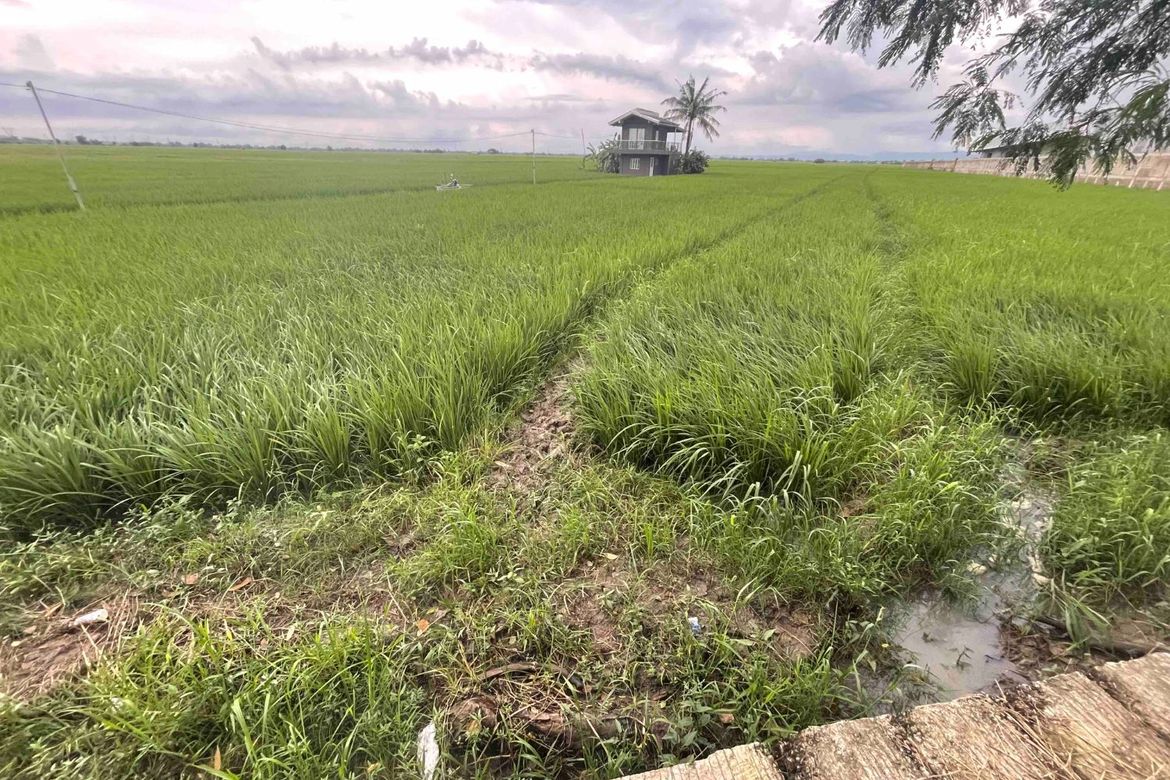 Land for Sale in Rizal District, San Leonardo, Nueva Ecija – photo 3