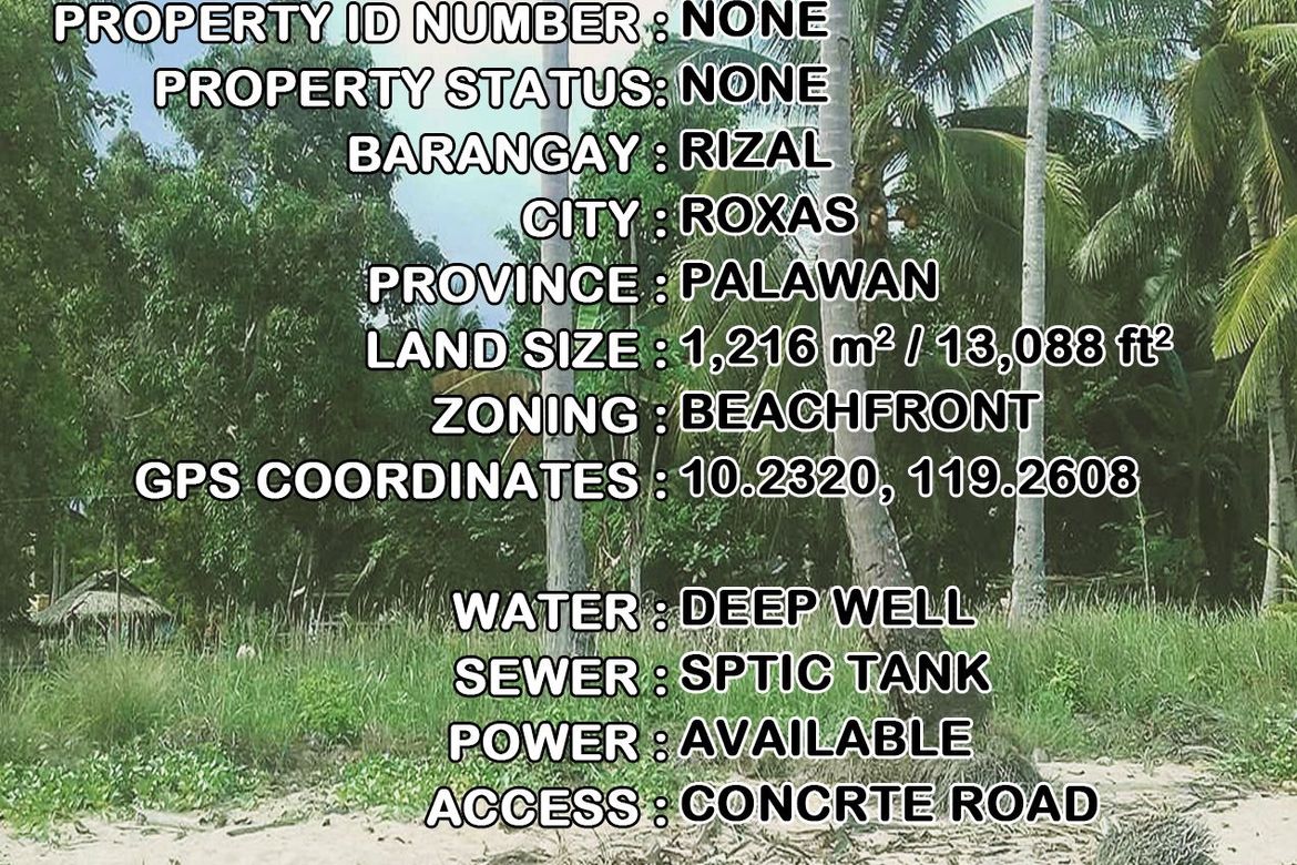 Land for Sale in Rizal, Roxas, Palawan – photo 7