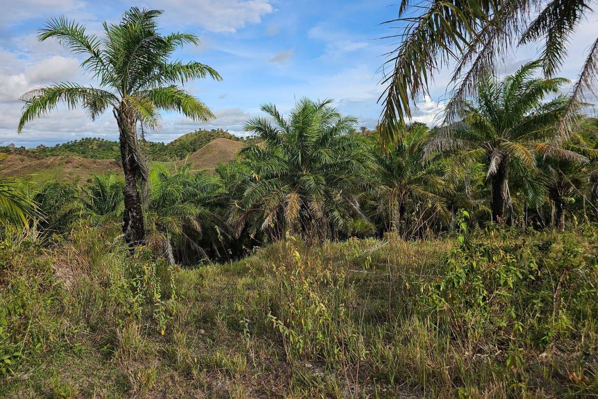 Land for Sale in Rizal, Talibon, Bohol