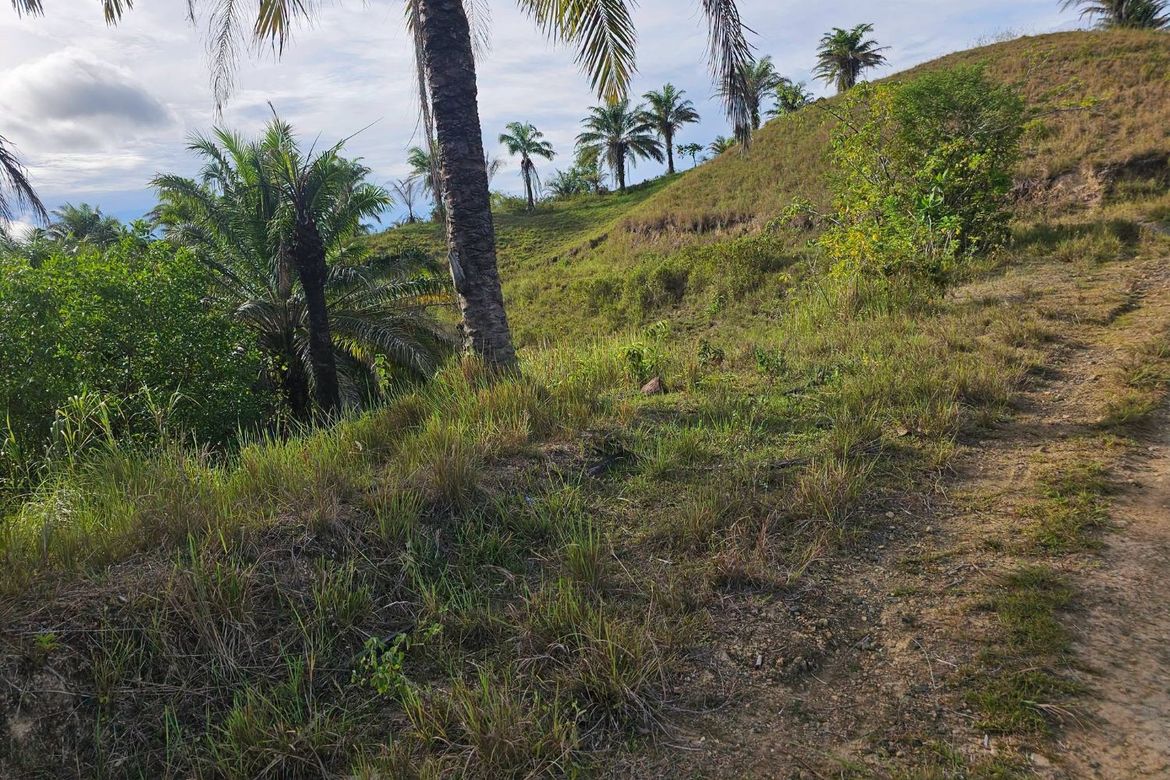 Land for Sale in Rizal, Talibon, Bohol – photo 4