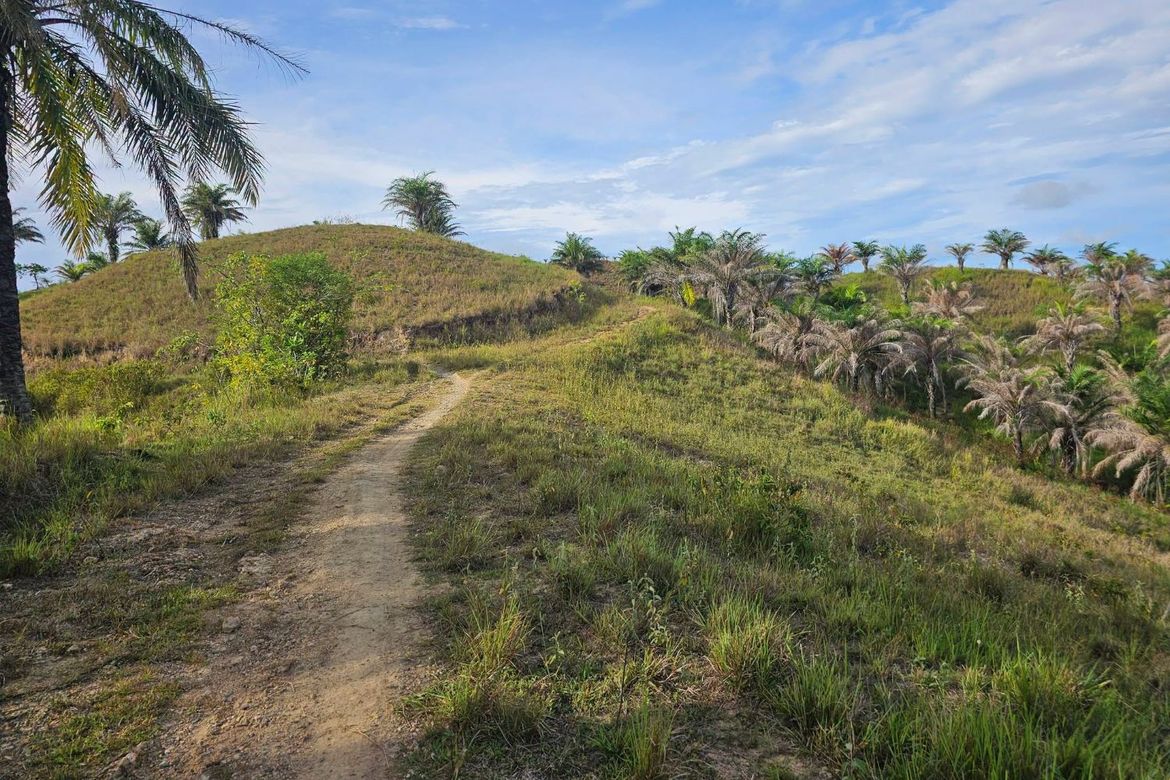 Land for Sale in Rizal, Talibon, Bohol – photo 5
