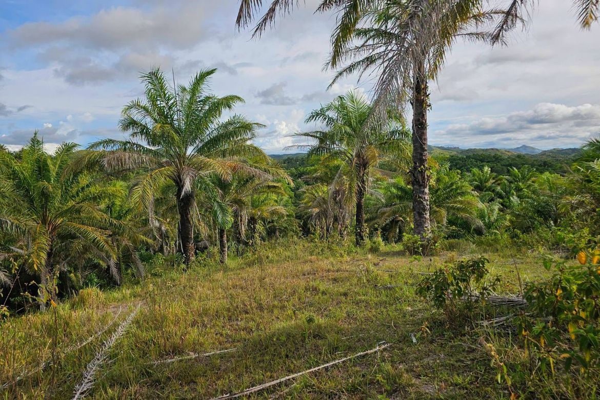 Land for Sale in Rizal, Talibon, Bohol – photo 6