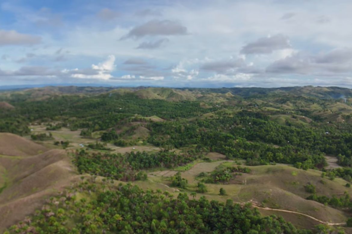 Land for Sale in Rizal, Talibon, Bohol – photo 7
