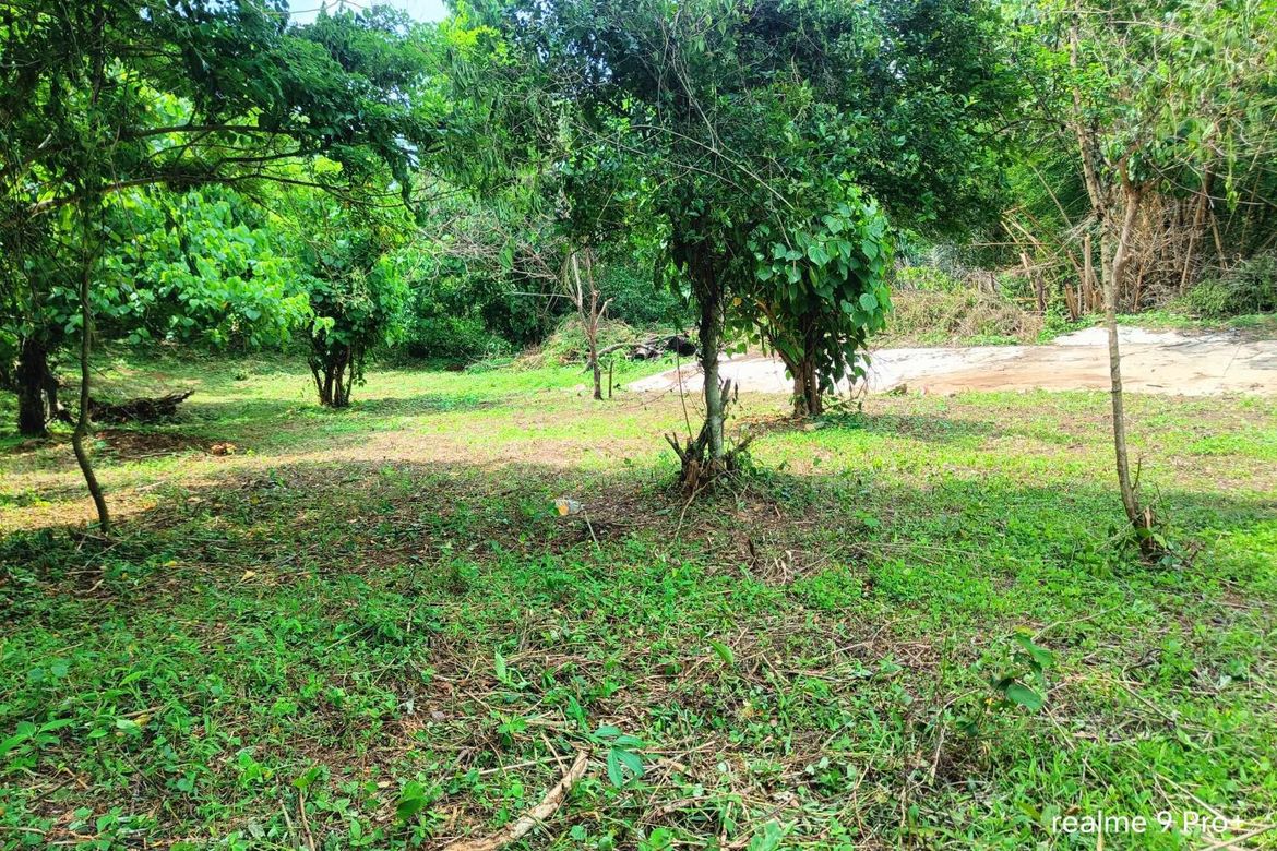 Land for Sale in Rizal, Tuy, Batangas