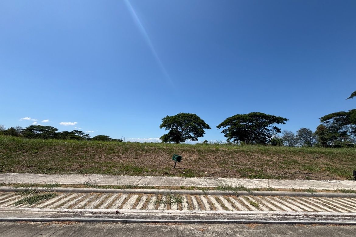 Land for Sale in Rockwell South at Carmelray, Canlubang, Calamba, Laguna