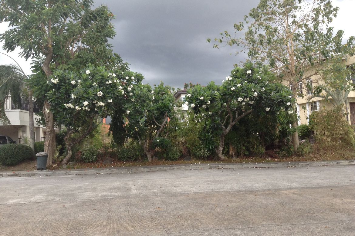 Land for Sale in Rosario, San Pedro, Laguna