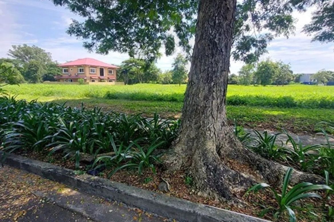 Land for Sale in Rosario, San Pedro, Laguna – photo 5