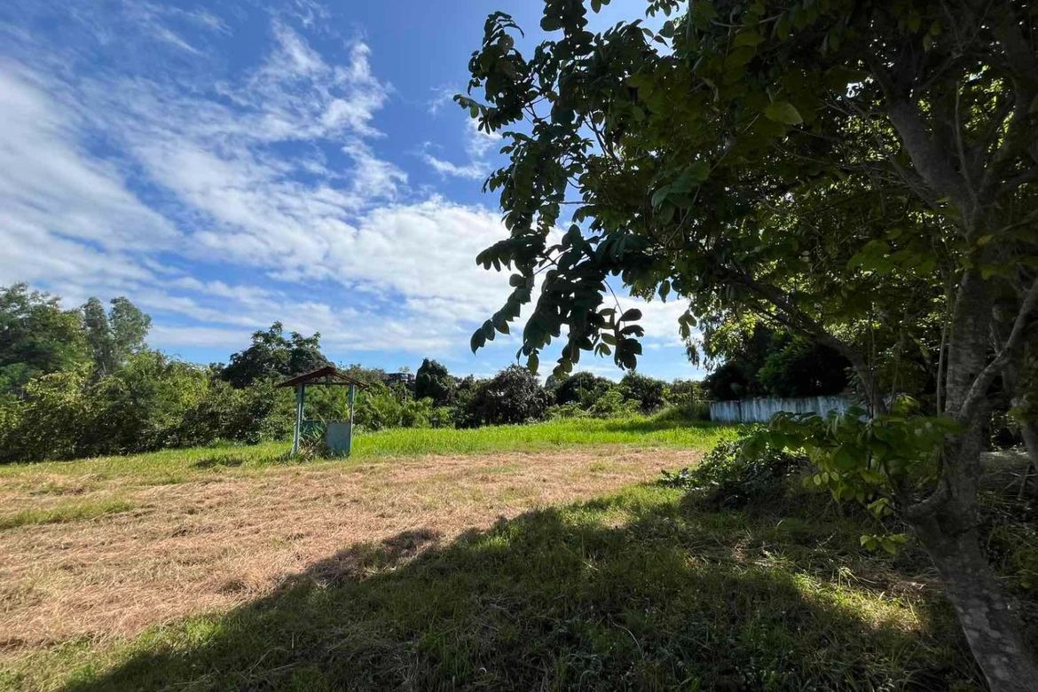 Land for Sale in Rosario, San Pedro, Laguna – photo 2