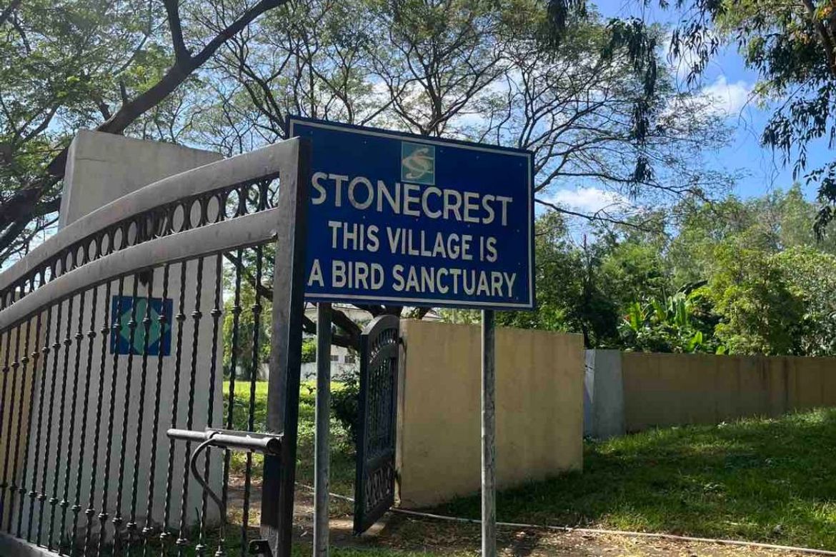 Land for Sale in Rosario, San Pedro, Laguna – photo 3