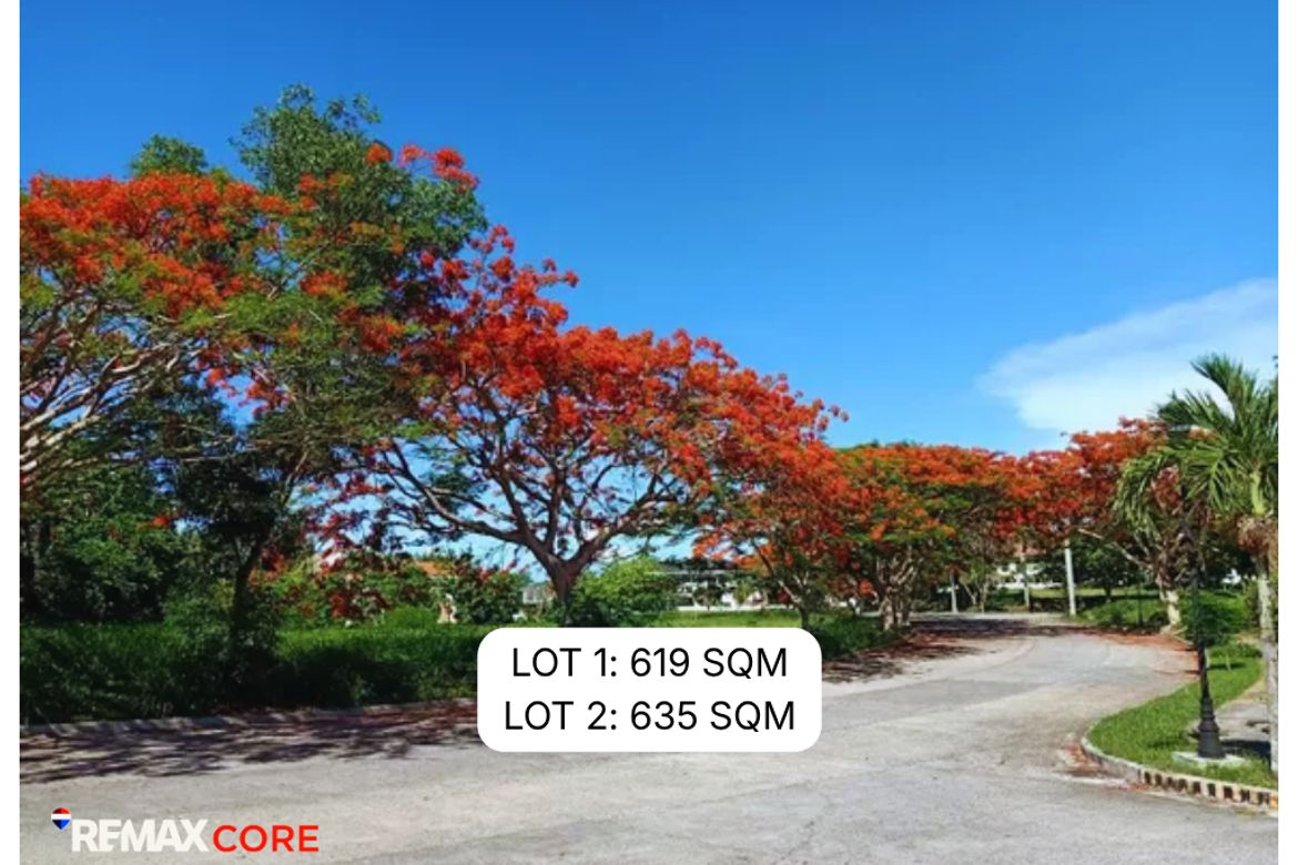 Land for Sale in Rosario, San Pedro, Laguna – photo 2