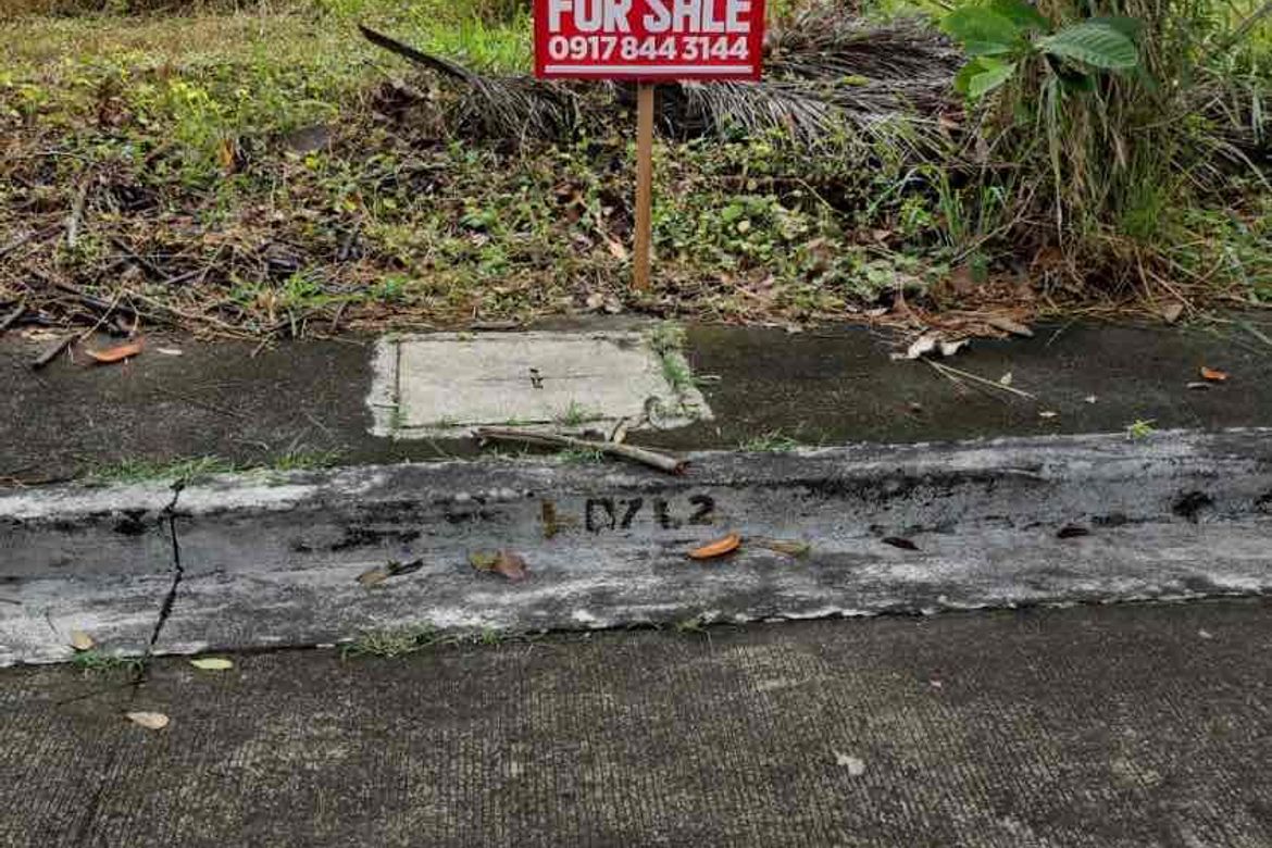 Land for Sale in Rosario, San Pedro, Laguna – photo 4