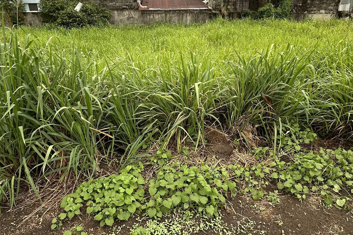Land for Sale in Rosewood Parkhomes, Angeles, Pampanga – photo 5