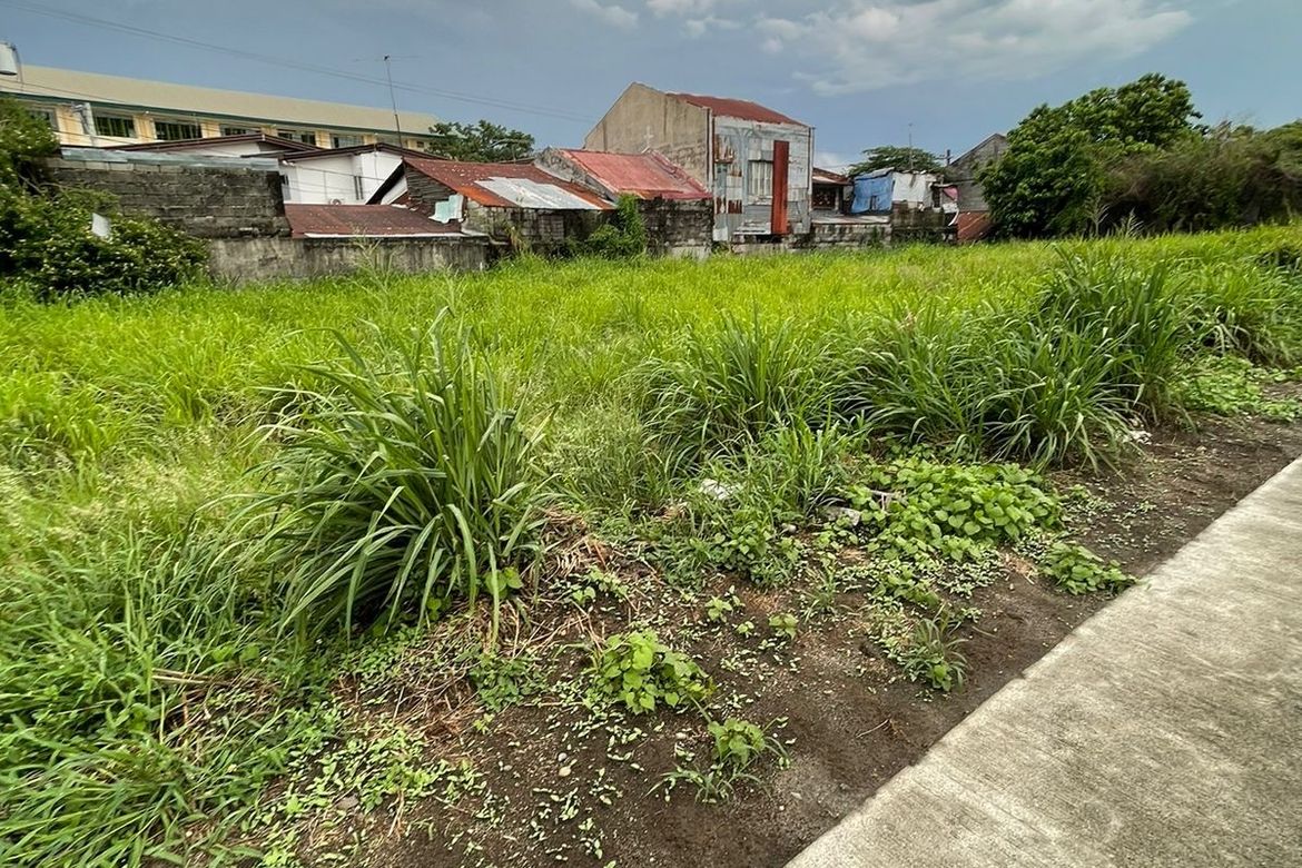 Land for Sale in Rosewood Parkhomes, Angeles, Pampanga – photo 8