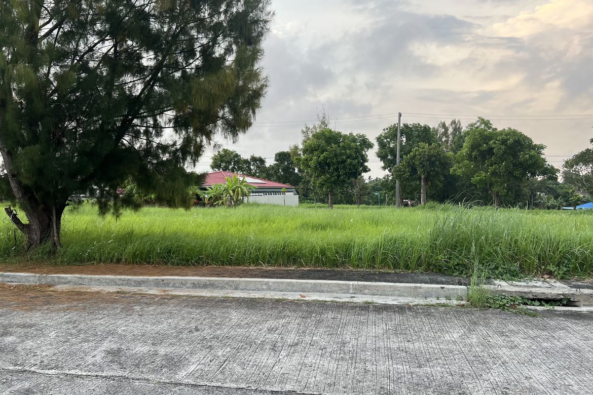 Land for Sale in Royale Tagaytay Estates, Buck Estate, Alfonso, Cavite