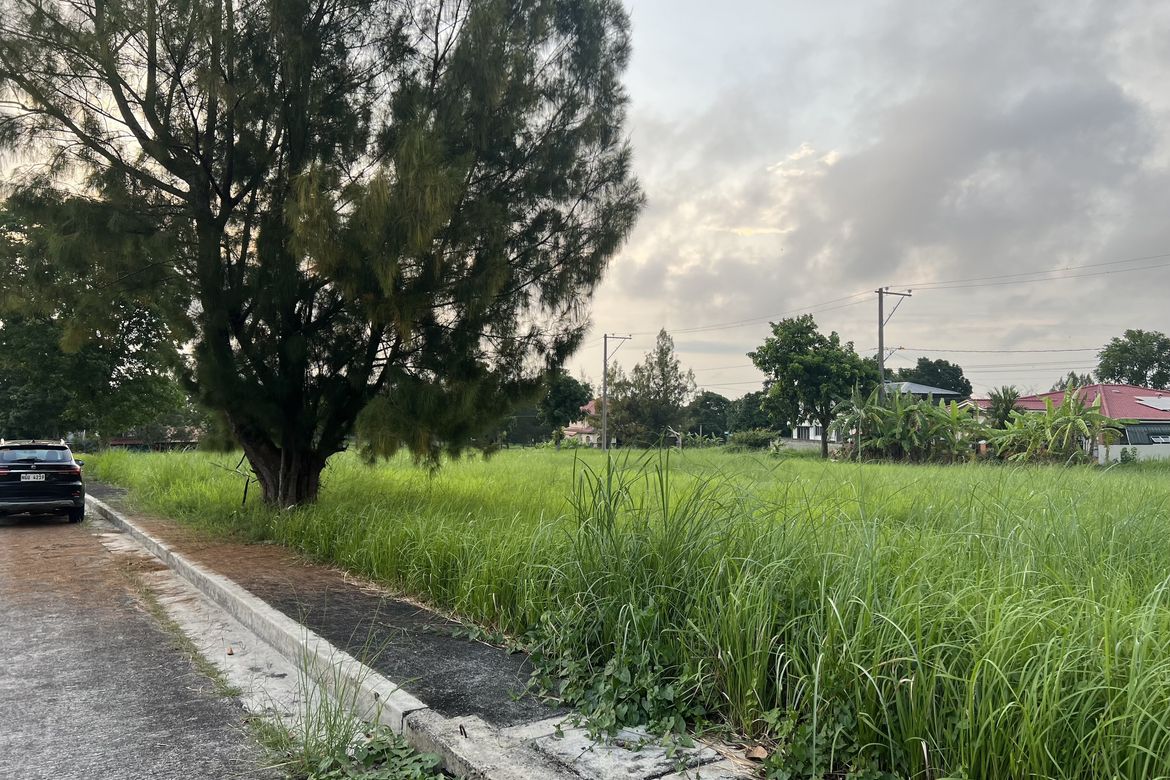Land for Sale in Royale Tagaytay Estates, Buck Estate, Alfonso, Cavite – photo 2