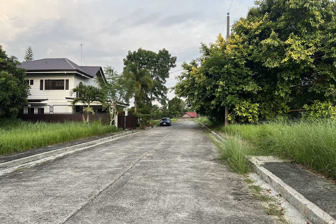 Land for Sale in Royale Tagaytay Estates, Buck Estate, Alfonso, Cavite – photo 5
