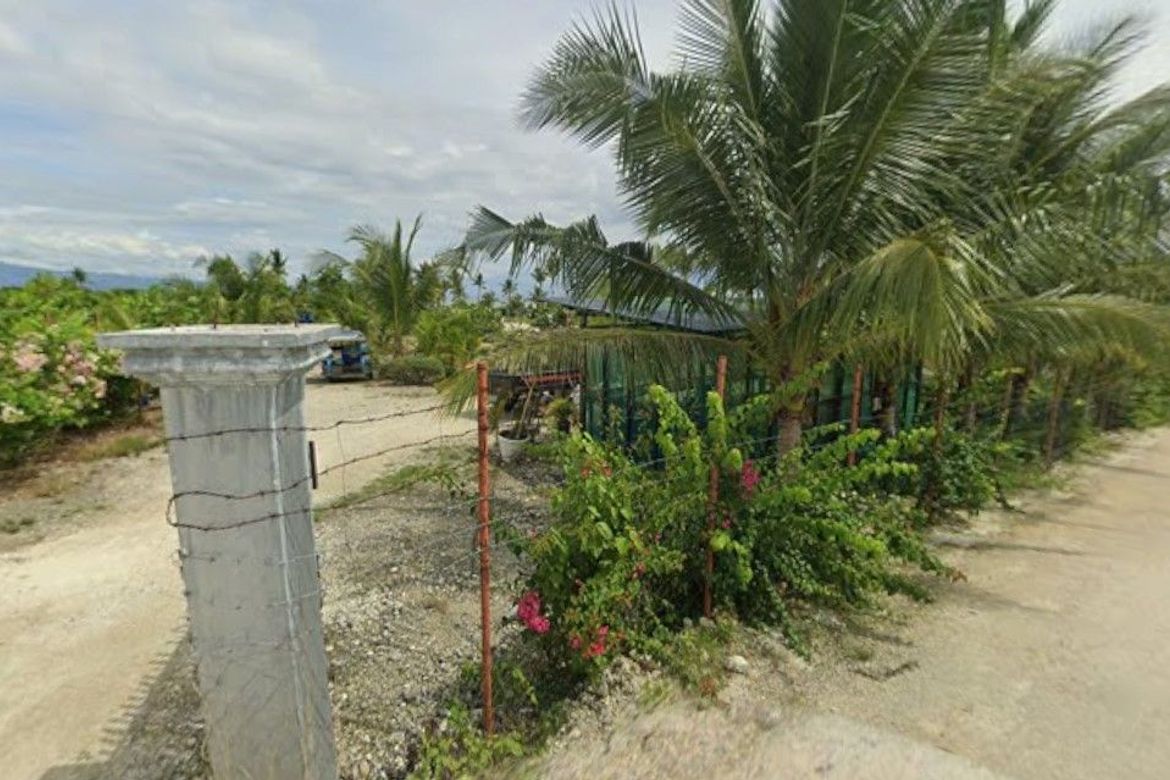 Land for Sale in Saavedra, Moalboal, Cebu