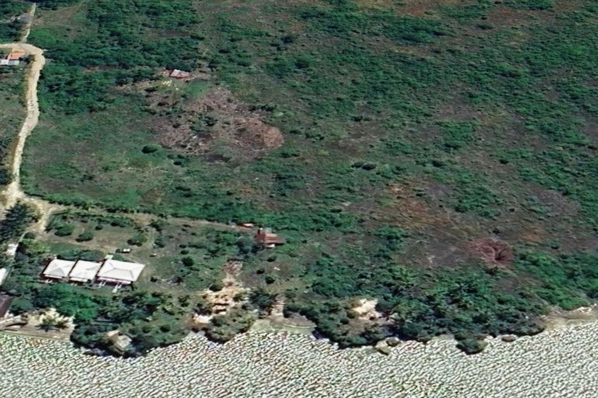 Land for Sale in Saavedra, Moalboal, Cebu – photo 2