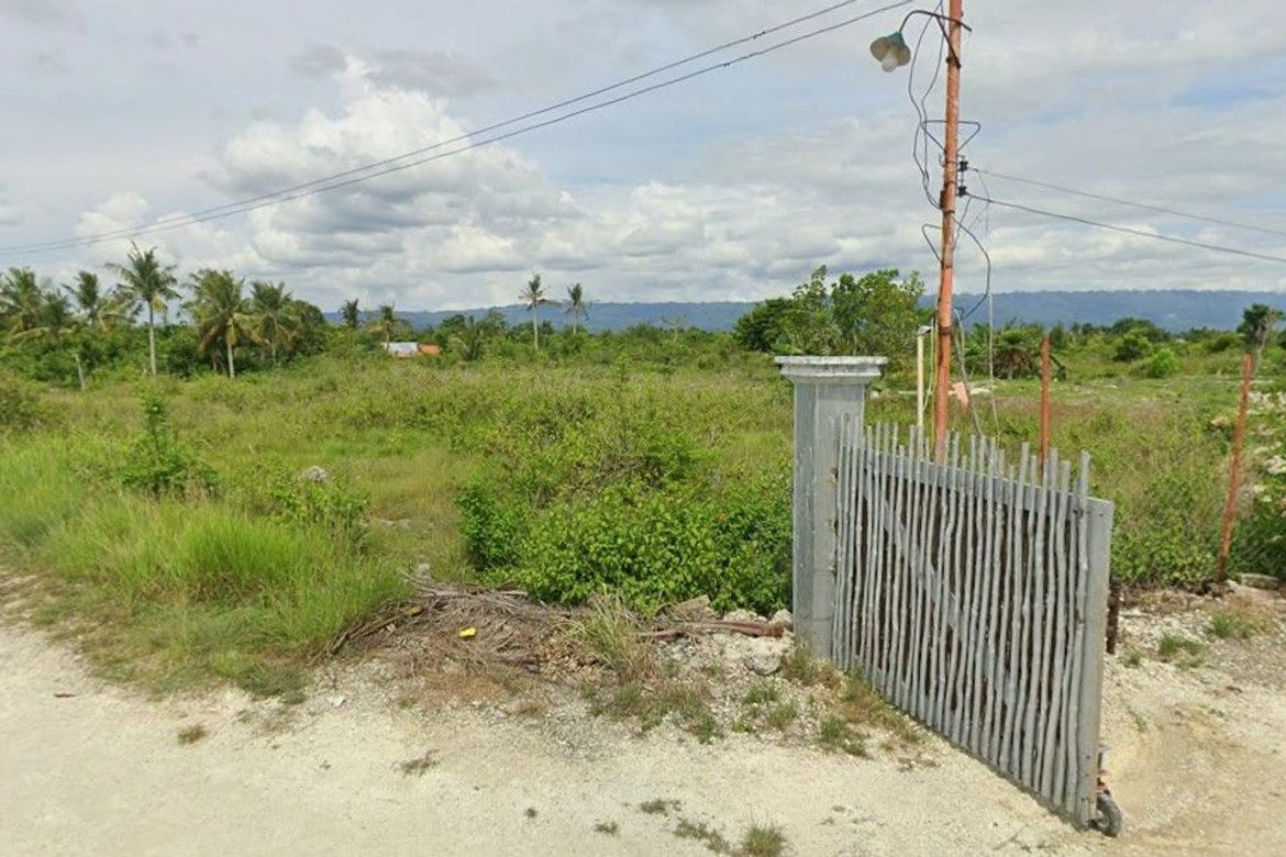 Land for Sale in Saavedra, Moalboal, Cebu – photo 4